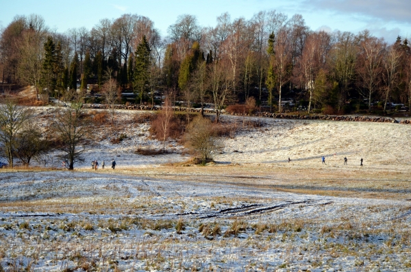 Deviņkalnu disku golfa parks. Galerija