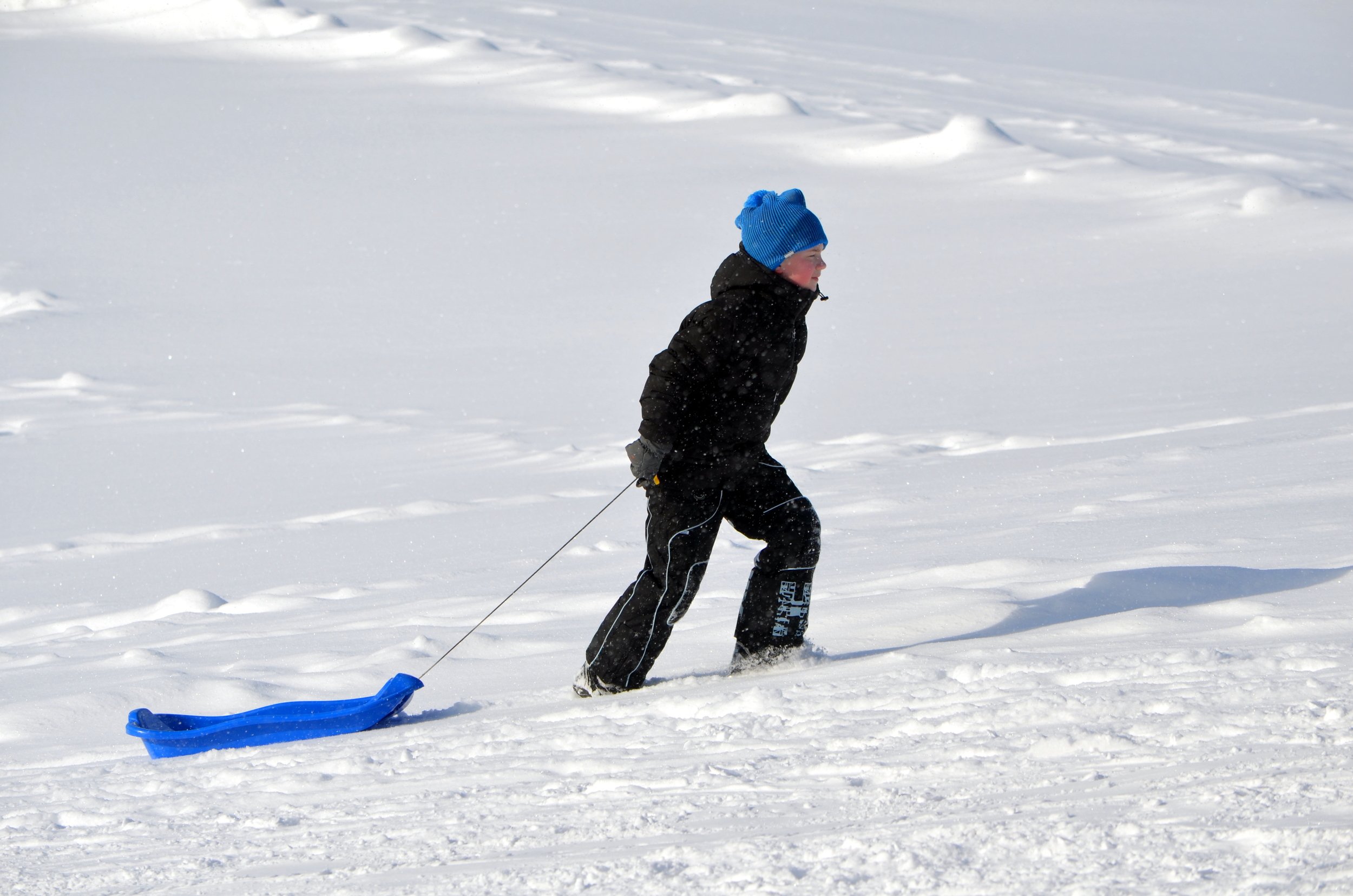 Kamparkalna kupenās