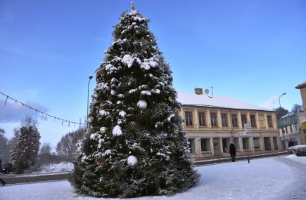 Talsu pilsētas galvenā egle