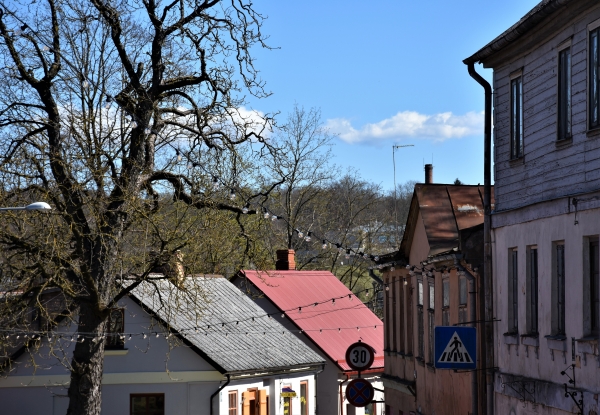 Pavasaris Talsu namu jumtos. Galerija