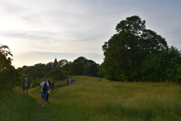 Jāņtārpiņi pēdo, galerija