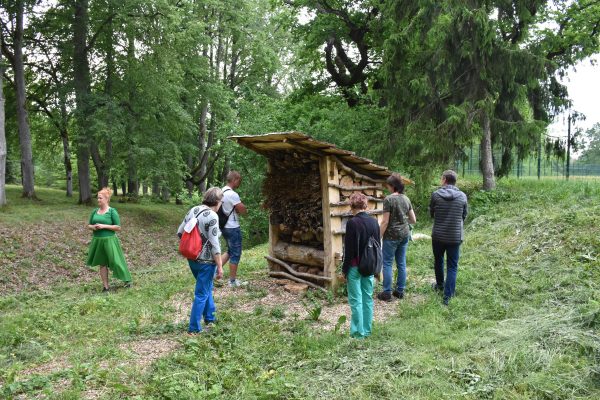 Jāņtārpiņi pēdo, galerija