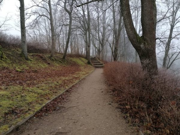 Talsi 2021. gada pirmajās dienās. Galerija