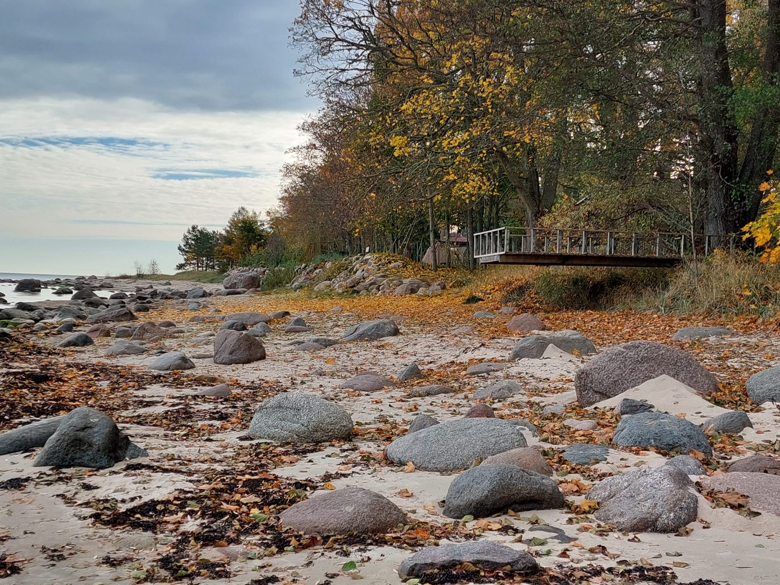 Meklēšanas rezultāta izrādes "Kaltenes akmeņainā jūrmala" attels