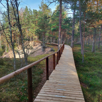 Pūrciema Baltā kāpa