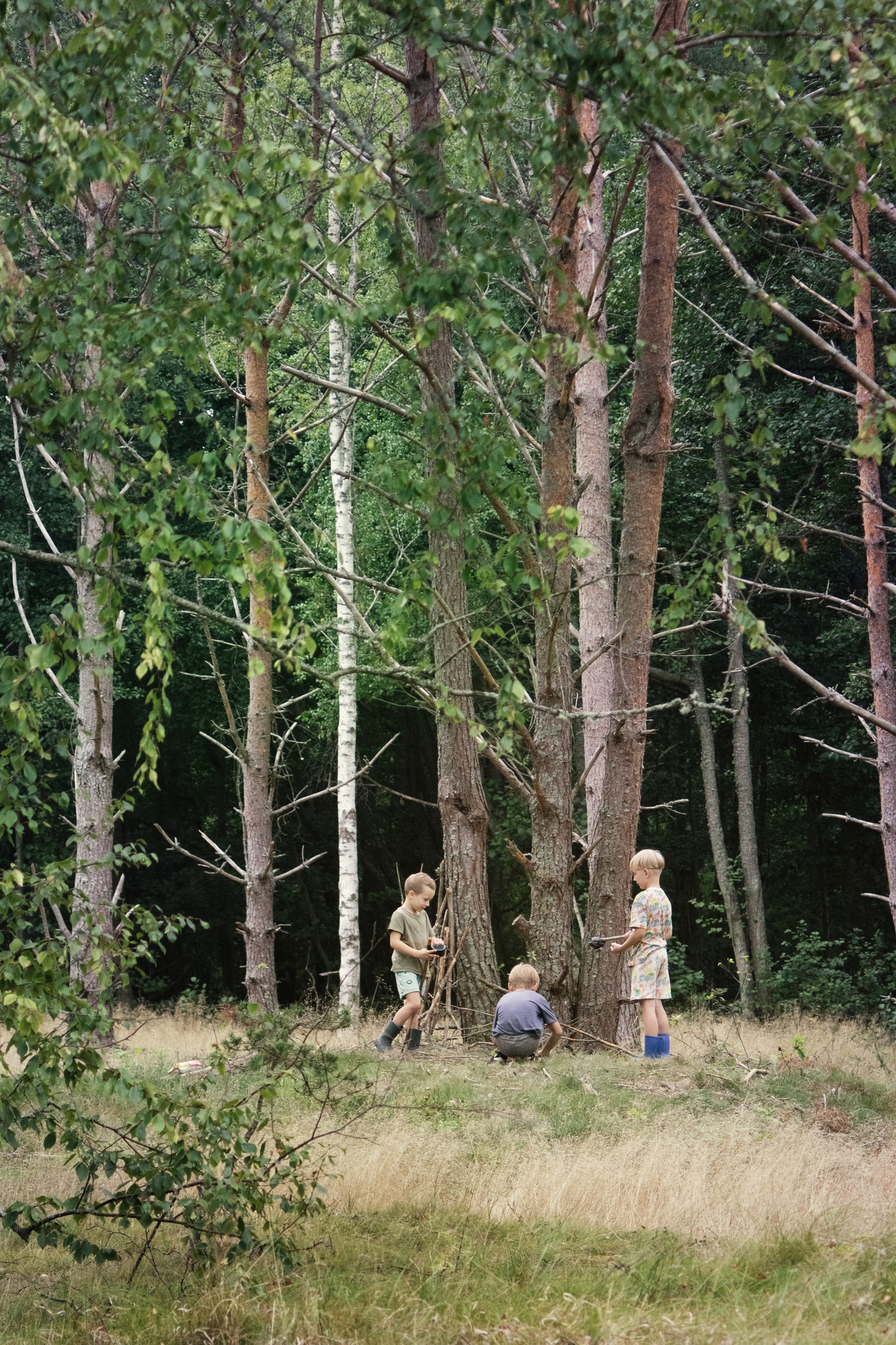 Mitago rezidence, aktivitātes bērniem