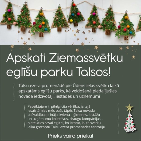 Ziemassvētku eglīšu parks Talsos, sfiša