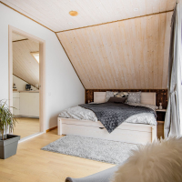 brīvdienu apartamenti joki