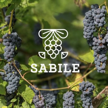 Sabile