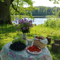 Pikniks zem ozola - Talsu mācītājmuiža