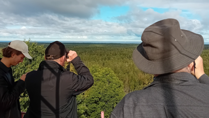 titulbilde projektam