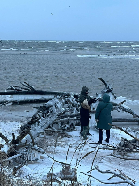 četri ceļo gardi Kolkā