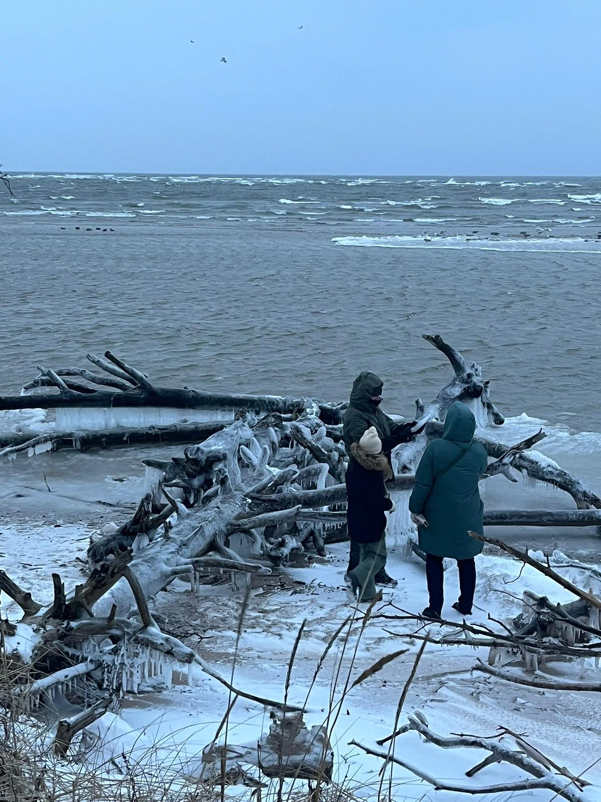 četri ceļo gardi Kolkā