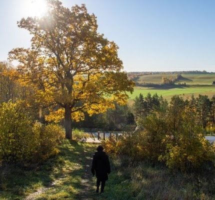 Skatu torņi- labākā vieta rudens baudīšanai!